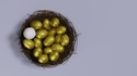 What can you do with your old 401(k)?