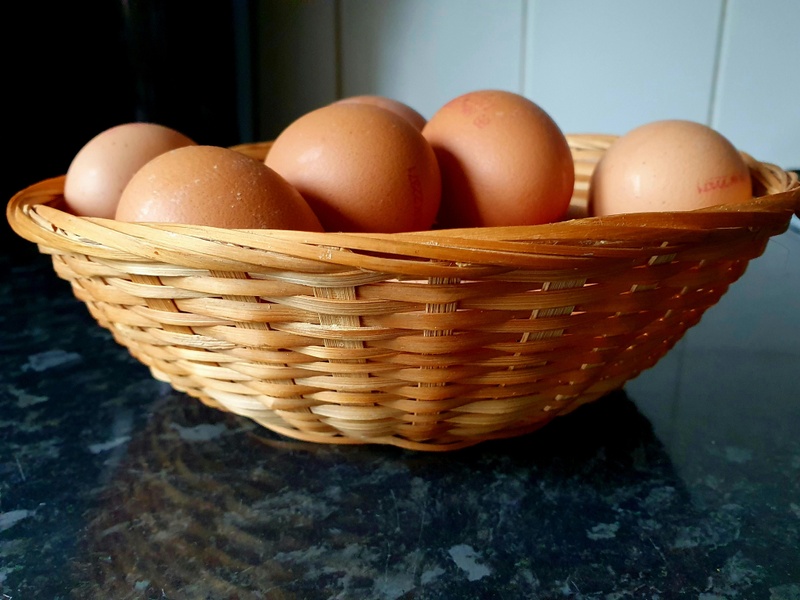 Diversification: The Only Free Lunch in Investing