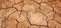 Are You Planning for a Financial Drought?