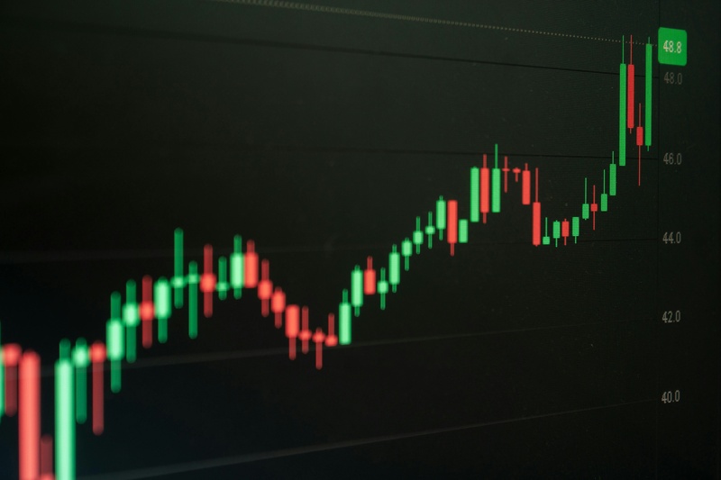85% of Participants Remained Fully Invested Over a Decade