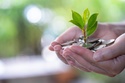 Tips for Building Your Financial Foundation