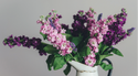 5 Tips for Single Women Planning Retirement