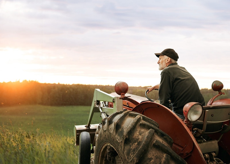 Retirement Strategy: Money & Longevity