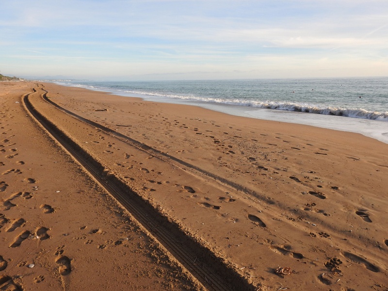 Line In The Sand
