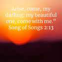 Song of Songs. 2:13