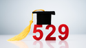 529 College Savings Plans: For Education and Estate Planning