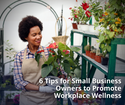 6 Tips for Small Business Owners to Promote Workplace Wellness