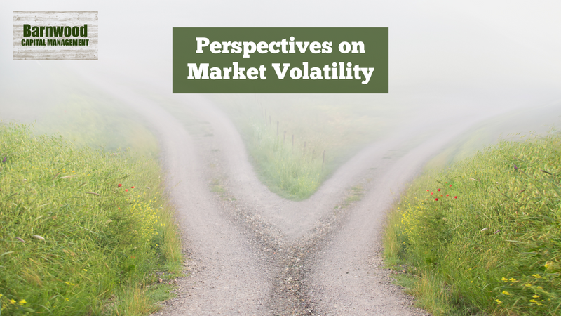 Perspectives on Market Volatility