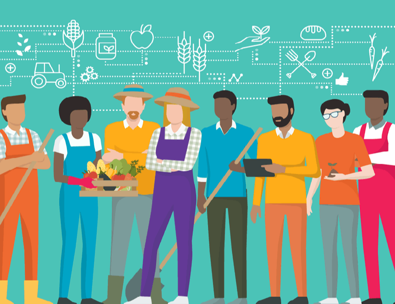 Maximizing Volunteer Board Member Effectiveness in Non-Profit Agricultural Organizations