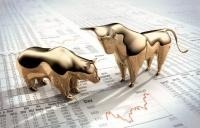 The Bull and The Bear