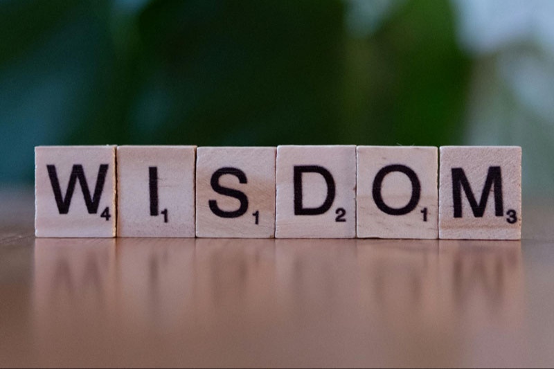 Working with Wisdom