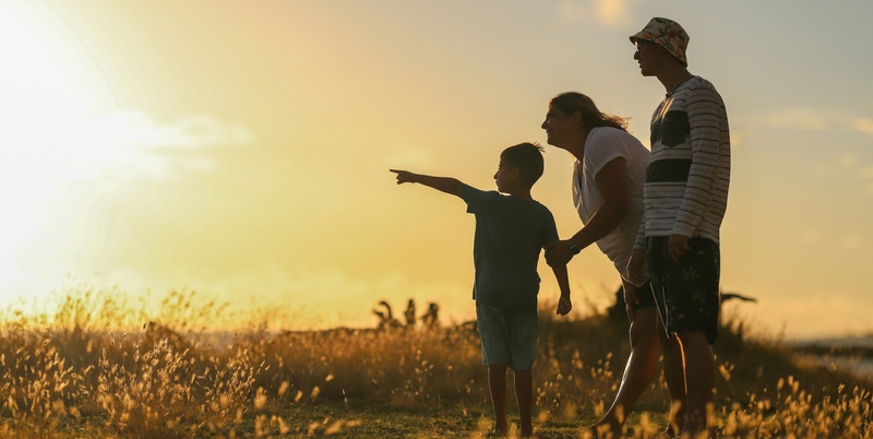 Beyond the Portfolio: A Cautionary Tale on Legacy Planning