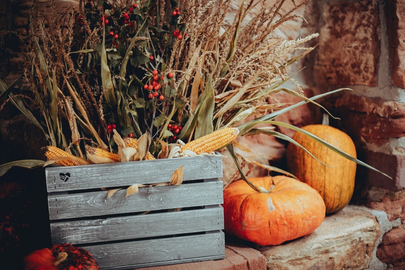 Embracing Gratitude: A Year-Round Practice Beyond Thanksgiving