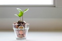 Donor Advised Funds DAFs