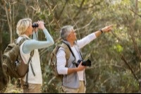 Don't Miss the Forest