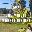 One Minute Market Insight - September 29, 2023