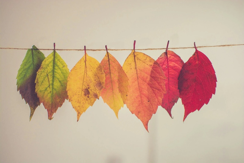 Expand Your Possibilities with Change