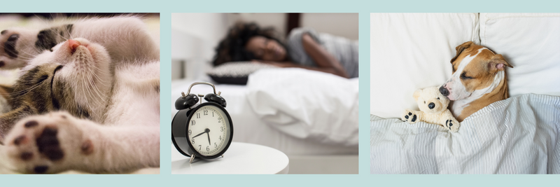 Can Sleep Trackers Lead to a Better Night’s Sleep?