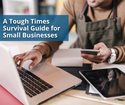 A Tough Times Survival Guide for Small Businesses