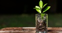 How I Invest and Manage My Own Money