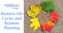 Business Life Cycles and Business Planning