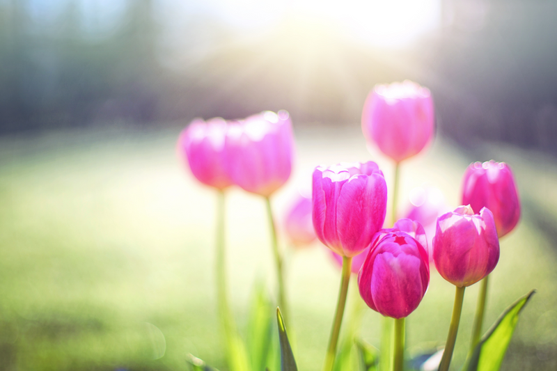 Spring Cleaning Your Trust & Estate