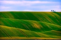 Rolling Hills or Rolling Recession?