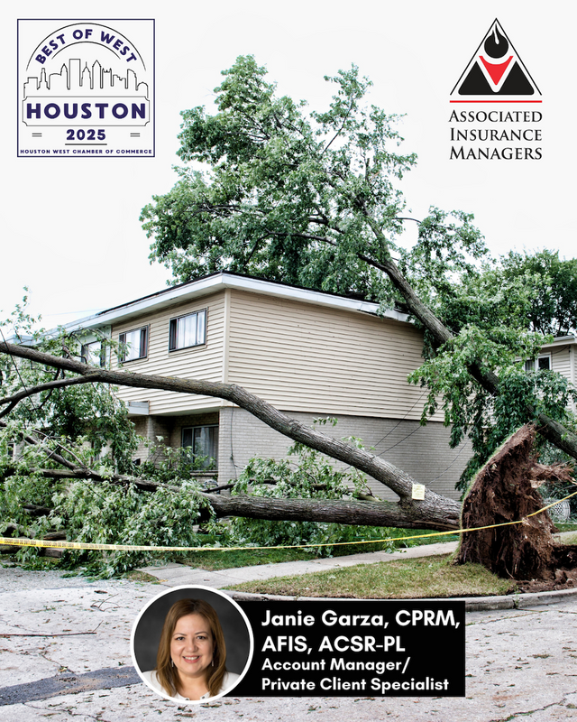 A Tree Fell on Your House—Now What? Steps to Take After Roof Damage