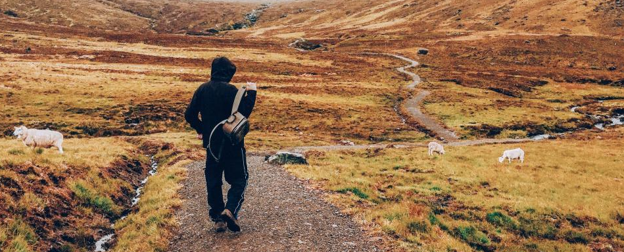 June Market Insights: Staying on the Path