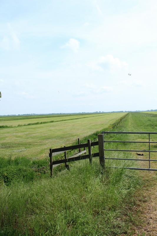 When the Land Has Done Its Job: The trade offs between holding real estate vs. investment accounts