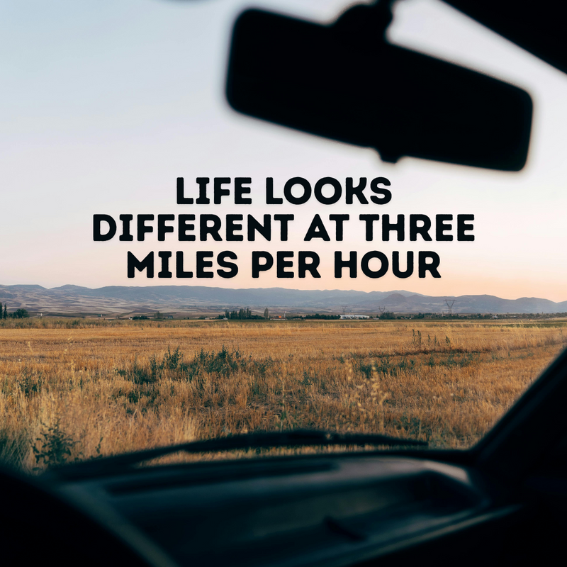 Life Looks Different at Three Miles Per Hour
