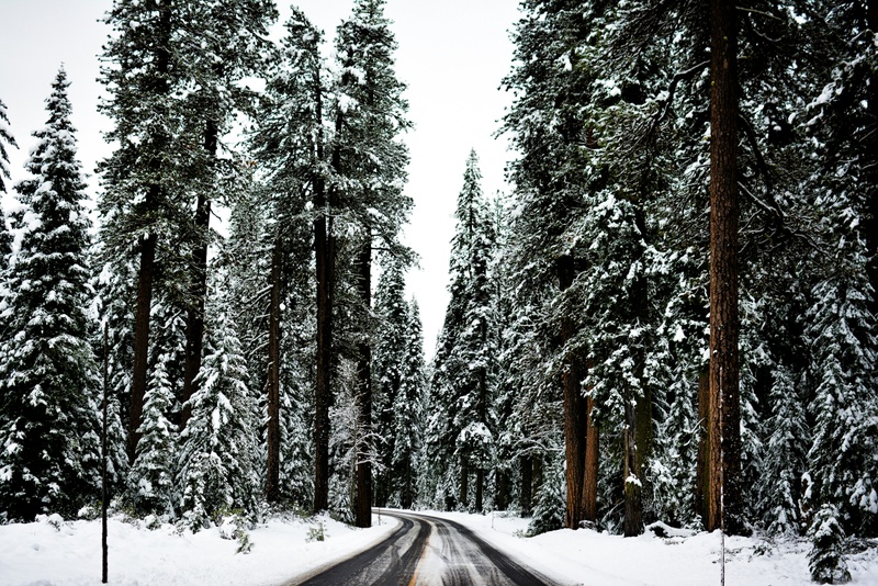 How Insurance Can Protect You From Winter Weather