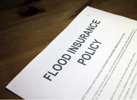 The Flood Factor: Understanding Flood Insurance for Homeowners