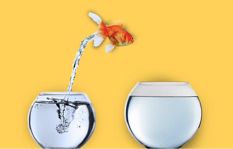 Is a Roth Conversion Right For You?