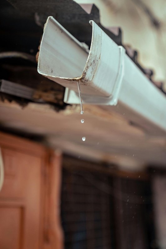 How Often Should You Clean Your Gutters?