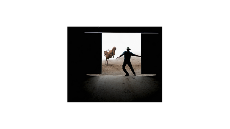 Closing the barn door after the horse is gone