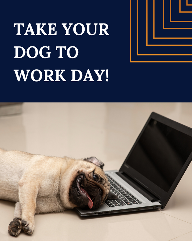 Canine Concerns:  Proper Insurance Coverage