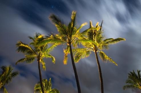 WHAT CAN YOU DO IN AN ECONOMY AND MARKET LIKE THIS? AND OVERHEARD POSITIVES ON THE ECONOMY