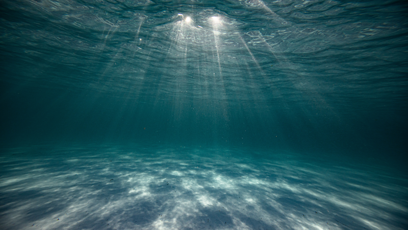 Underwater Stock Options: What They Are & What You Can Do