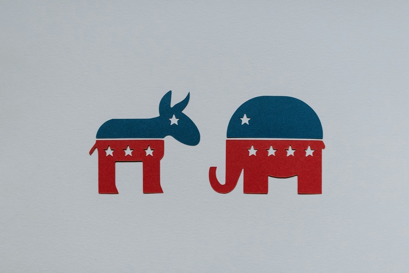 The Stock Market in Election Years: Volatility and Uncertainty
