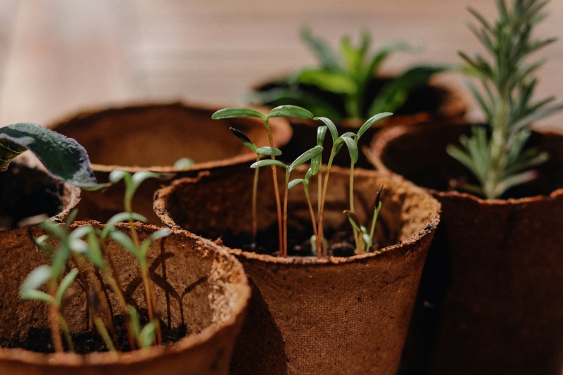The Bucket Plan®: A Smarter Way to Navigate Retirement Risks—Even When the Headlines Are Heavy