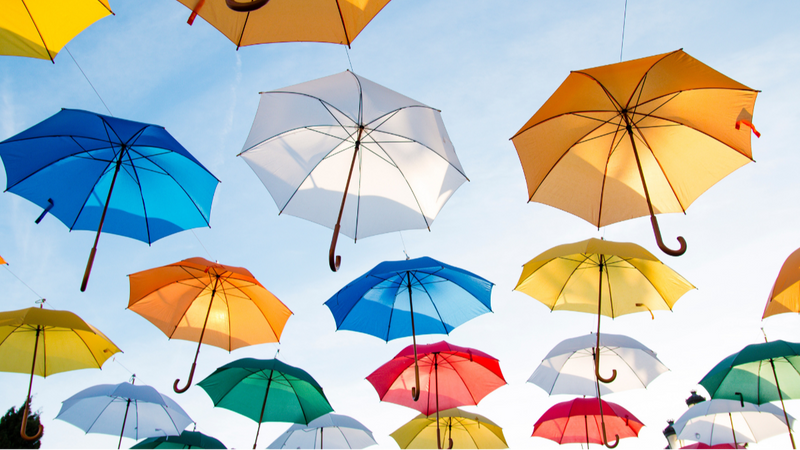 Umbrella Liability Insurance