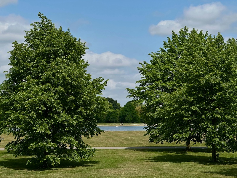 🍂 The Second Retirement: Planning When You’ve Been Here Before