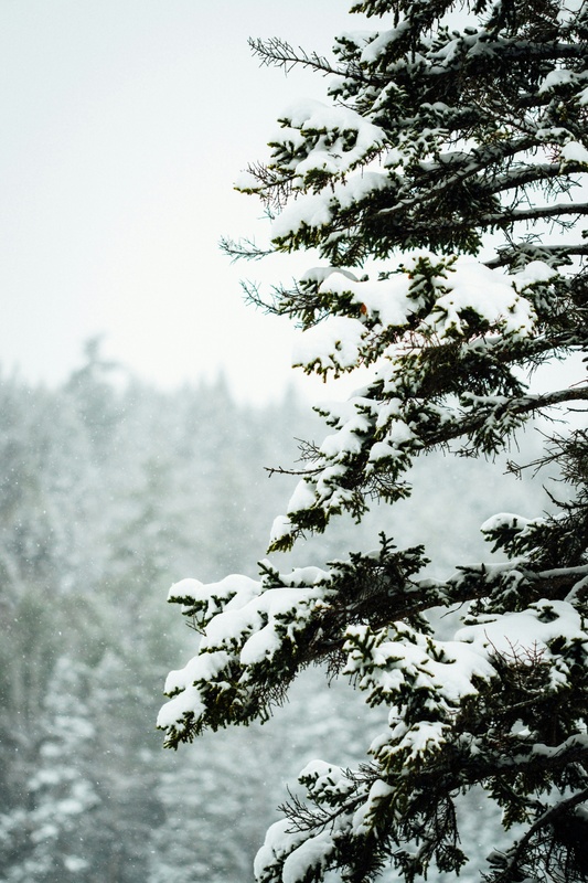 How to File a Property Claim After a Winter Storm in Idaho