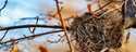Insurance Needs Assessment: For Empty Nesters and Retirees