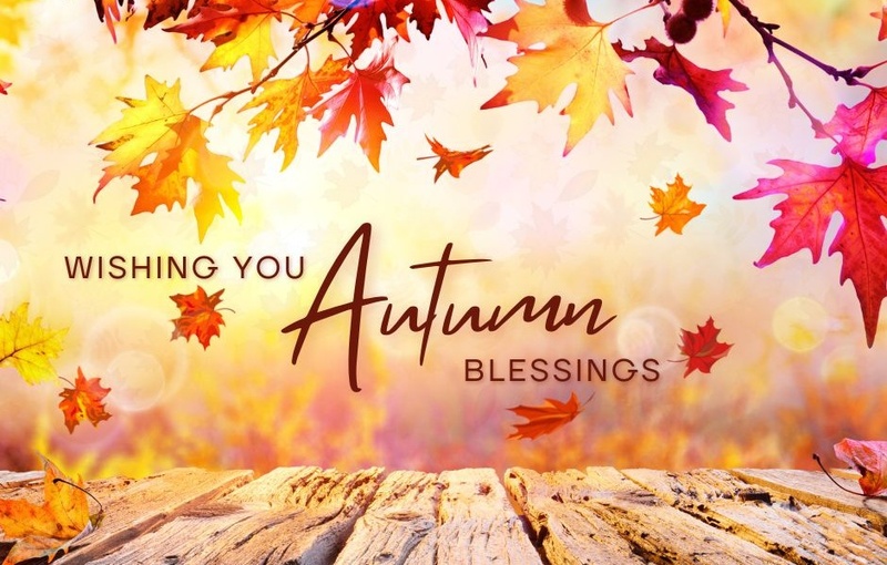 The Psychology of Fall: Why We Love It So Much
