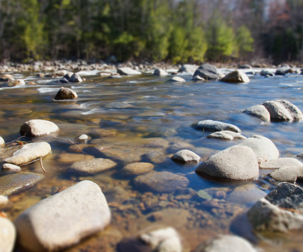 The River You Can’t Pedal: Steering Through the Uncharted Waters of Life and Finances