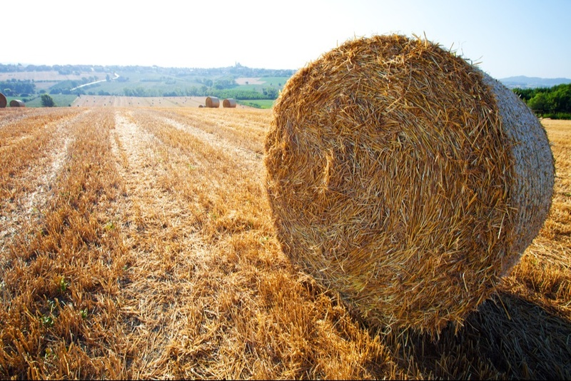 Making Hay While The Sun Shines