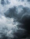 Effects of an El Nino Winter on California