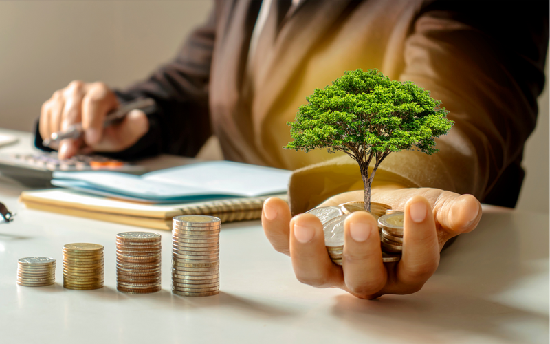 A Quick Guide to Socially Responsible Investing